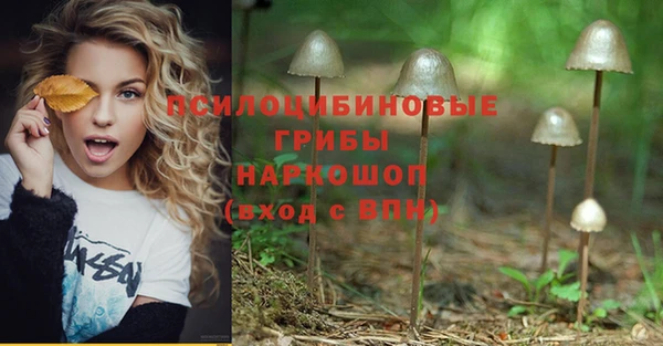 мдпв Балабаново